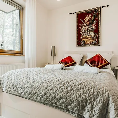 Διαμέρισμα Visitzakopane - Cezar